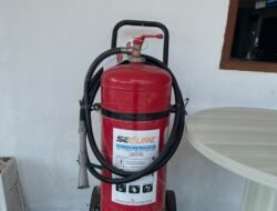 Kembangkan Fondasi Kerja Ideal PLN Icon Plus Bali dan Nusra Hadirkan Markas Operasional Aman Nyaman dan Berkelanjutan